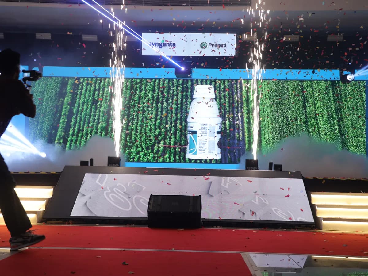 Product Launch 5
