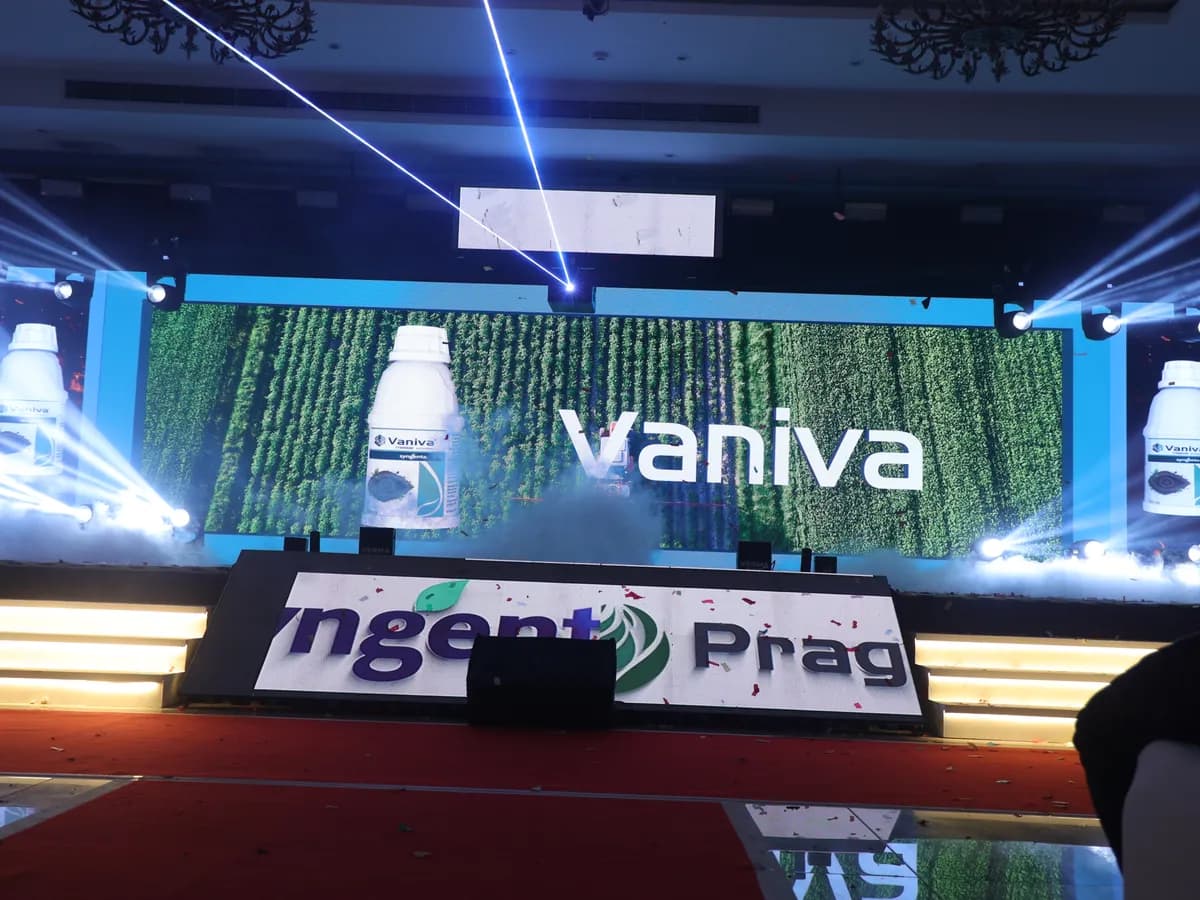 Product Launch 6